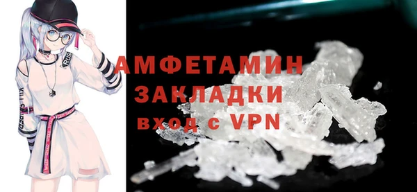 прущие грибы Рославль