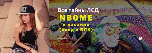 тгк Абаза