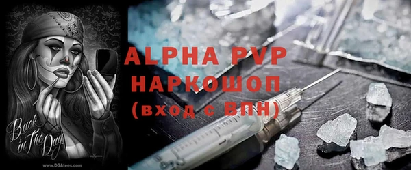 прущие грибы Рославль