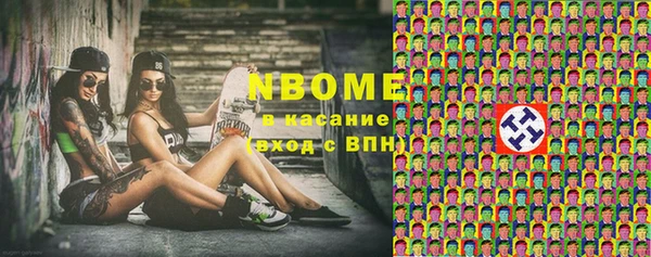 прущие грибы Рославль