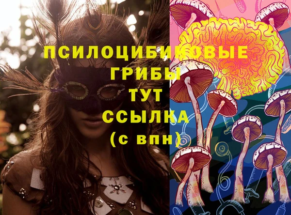 сатива Абинск